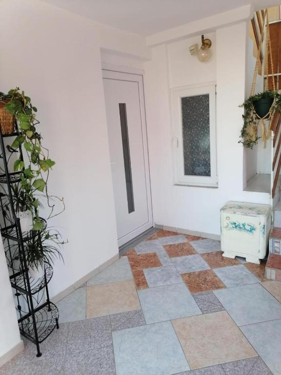 App For 2 Apartman Bibinje Kültér fotó
